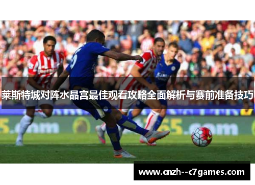 莱斯特城对阵水晶宫最佳观看攻略全面解析与赛前准备技巧