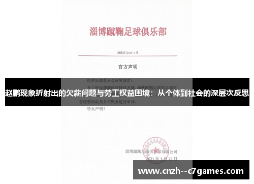 赵鹏现象折射出的欠薪问题与劳工权益困境:从个体到社会的深层次反思 赵鹏现象折射出的欠薪问题与劳工权益困境:从个体到社会的深层次反思